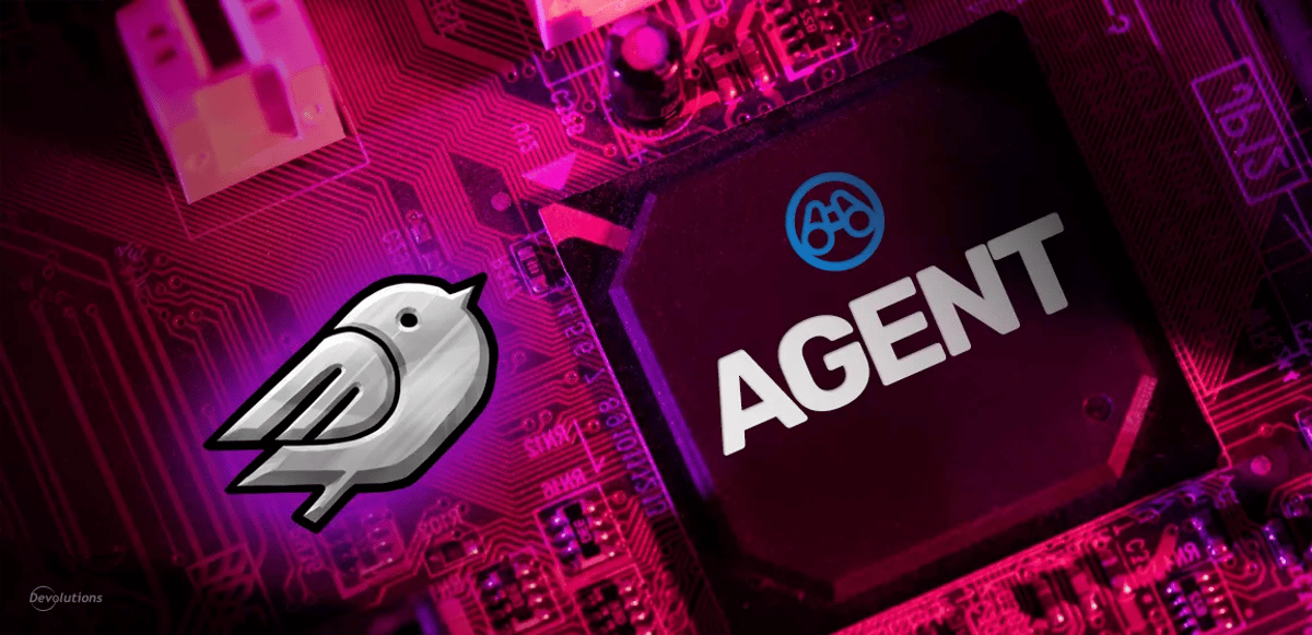 Mise en lumière sur : présentation de Devolutions Agent