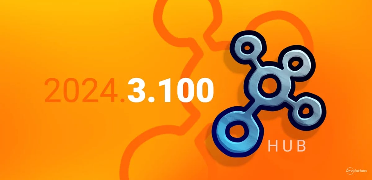 Devolutions hub mid-release 2024.3.100 blog