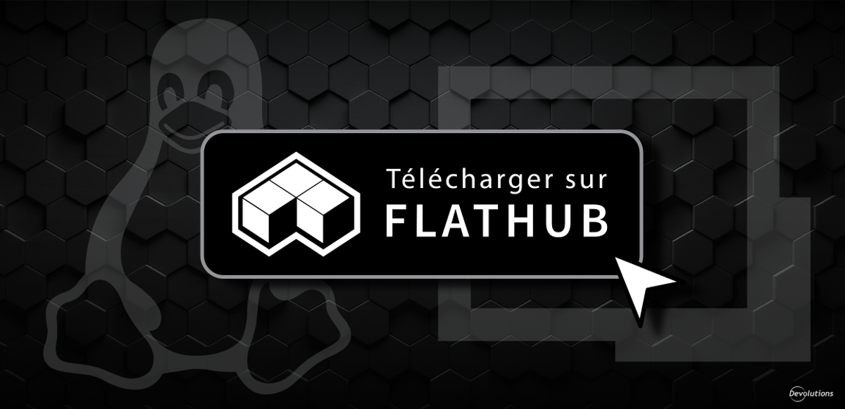 Rdm pour linux disponible sur flathub devolutions blogue