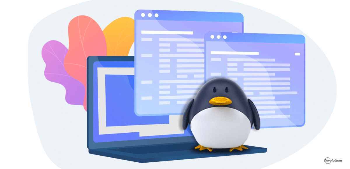New feature spotlight launching embedded undocked sessions rdm remote desktop manager devolutions blog