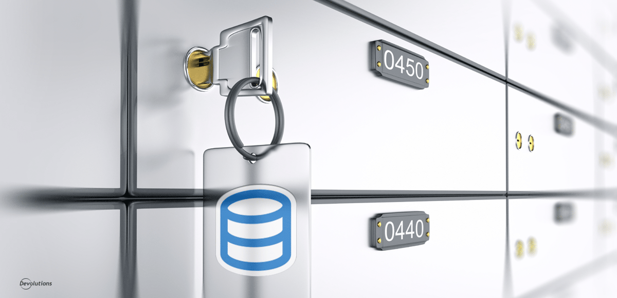 Creating a Private Vault in Devolutions Online Database