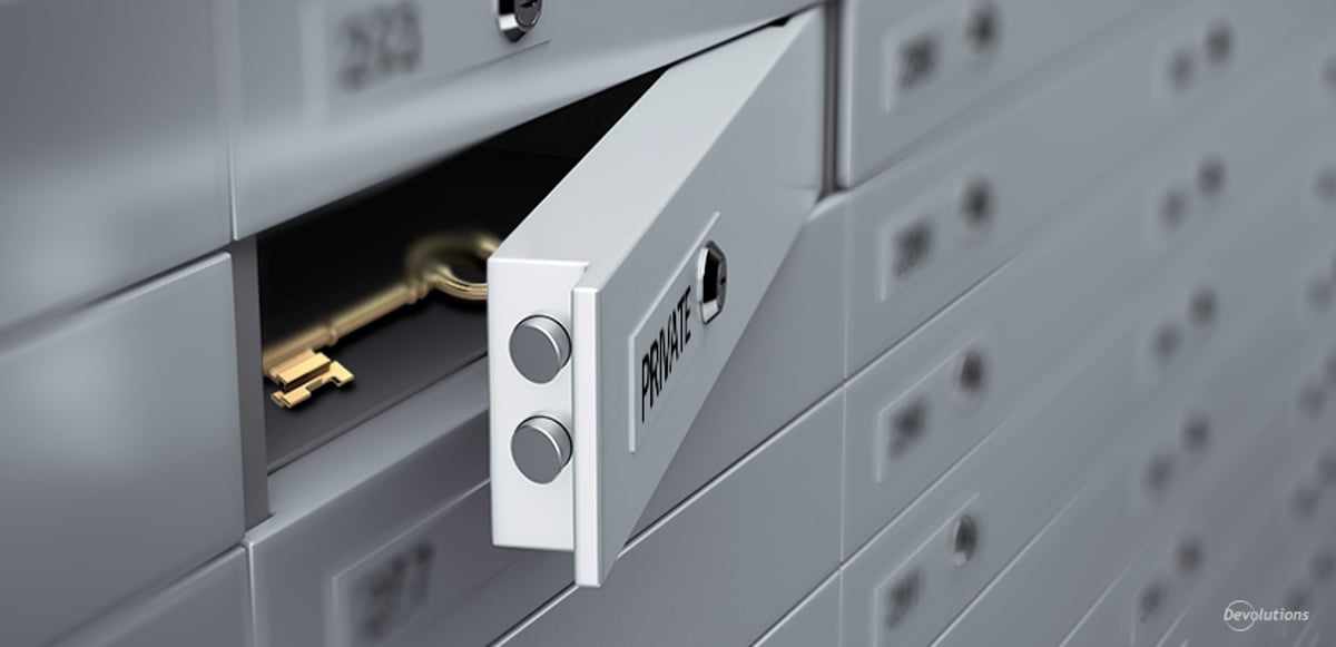 New Remote Desktop Manager Feature: Private Vault Search