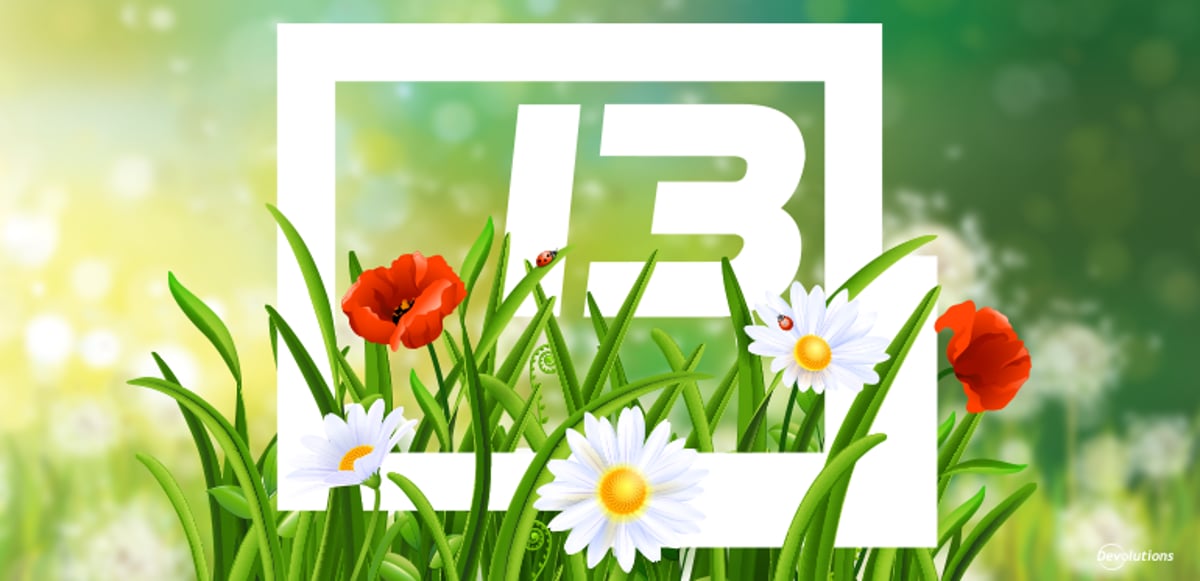 What’s New in Remote Desktop Manager 13.5: User Interface