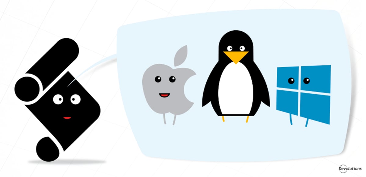 Remote Desktop Manager's Built-in tools