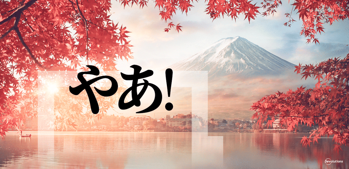 Remote desktop manager now in japanese devolutions blog rdm