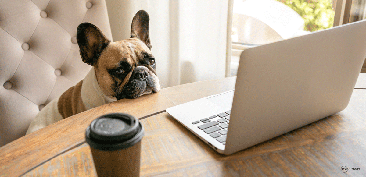 4 types of remote working devolutions blog