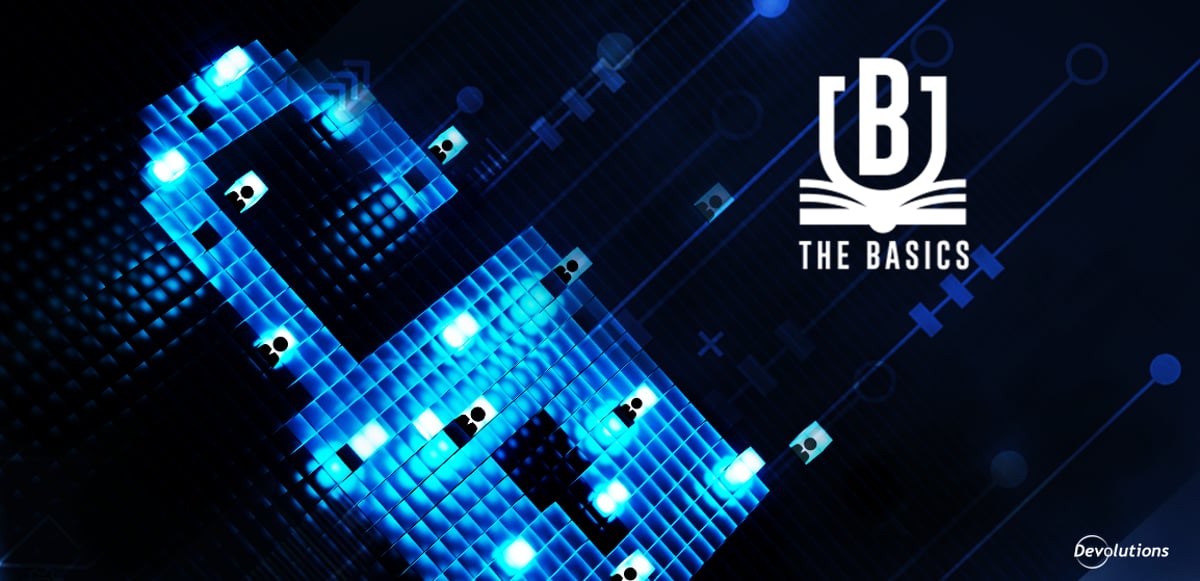 The Basics: How to Manage Role-Based Access Control Using Vaults in Remote Desktop Manager 2019.1