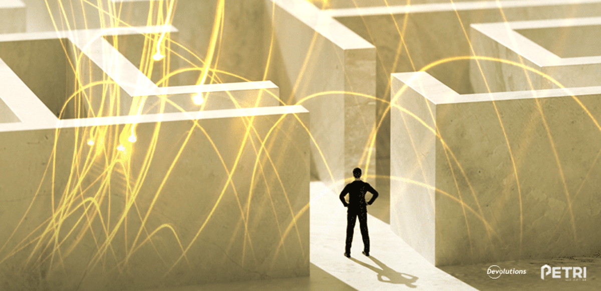 Whitepaper top challenges it security 2022 devolutions blog