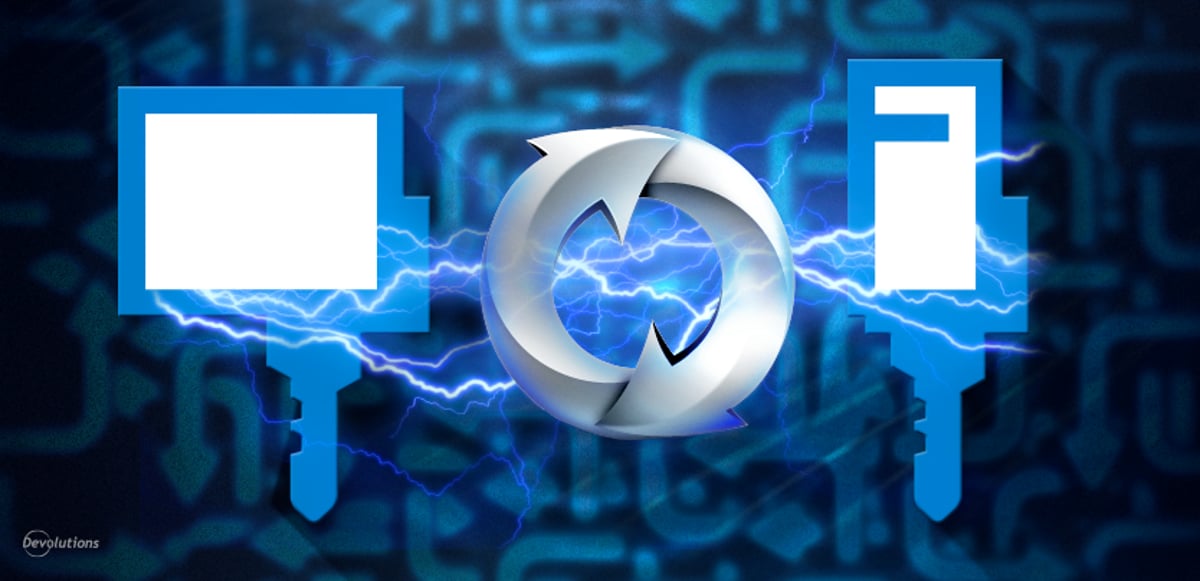 Must You Always Renew Your Maintenance Plan? (AKA Do I have to keep my RDM up to date)