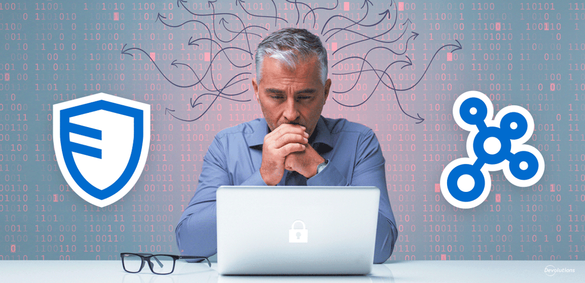 Choose between devolutions server or hub for password management blog