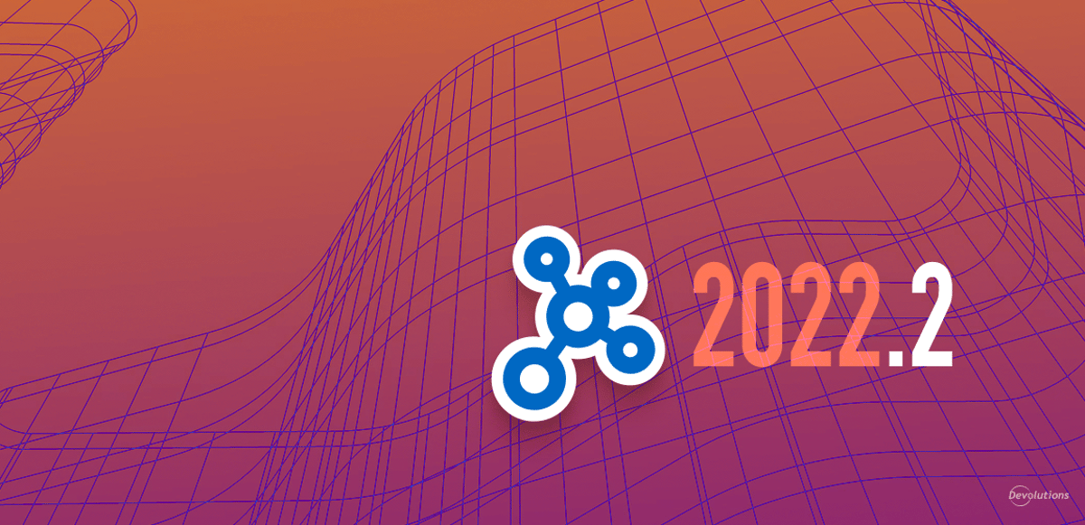 Hub 2022.2 features release devolutions blog