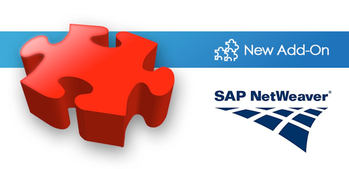New RDM Add-On for SAP NetWeaver!