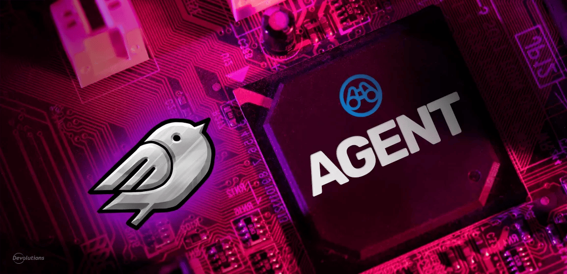 Spotlight: Introducing the Devolutions Agent | Devolutions