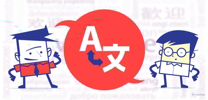 Remote Desktop Manager Localizer