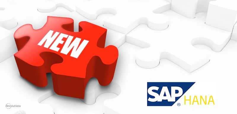 AddOn-Remote-Desktop-SAPHana