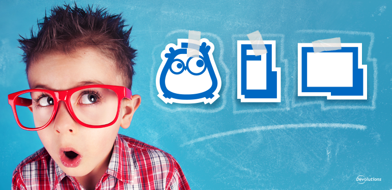 Explainlikeimfive Devolutions Products