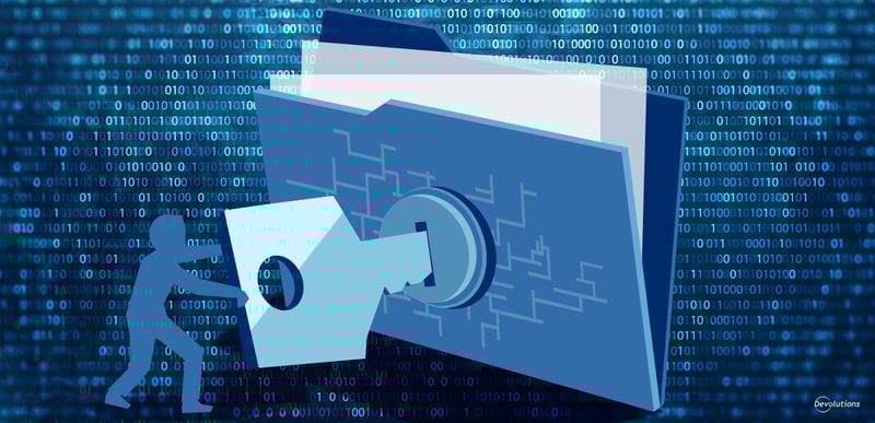 Ins-Outs-File-Centric-Security-Devolutions