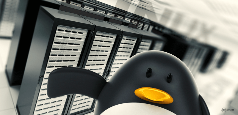 Use case linux server database backed with remote desktop manager rdm devolutions blog
