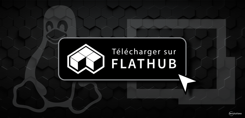 Rdm pour linux disponible sur flathub devolutions blogue