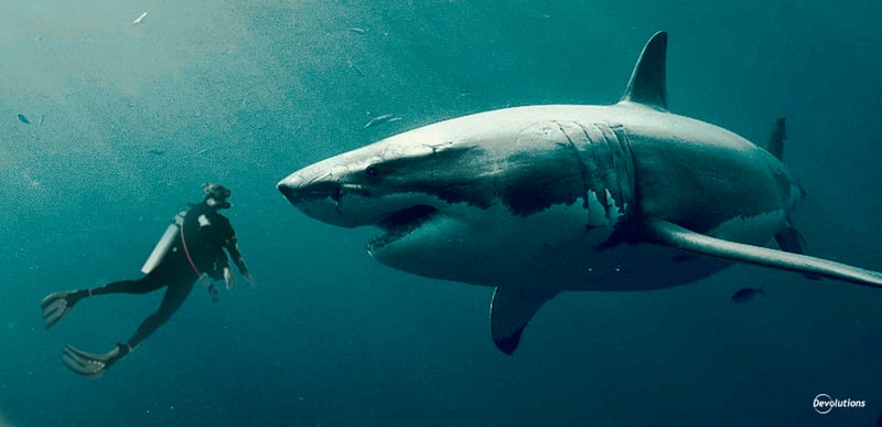 Poll-January-Crazy-Bucket-List-Devolutions