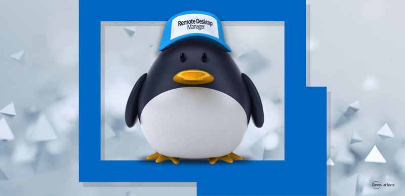 Remote desktop manager rdm linux available devolutions