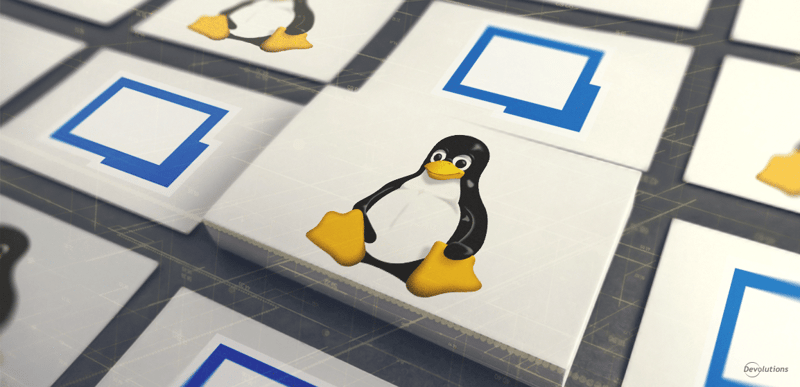 Remote desktop manager linux thumbnails view feature rdm devolutions blog