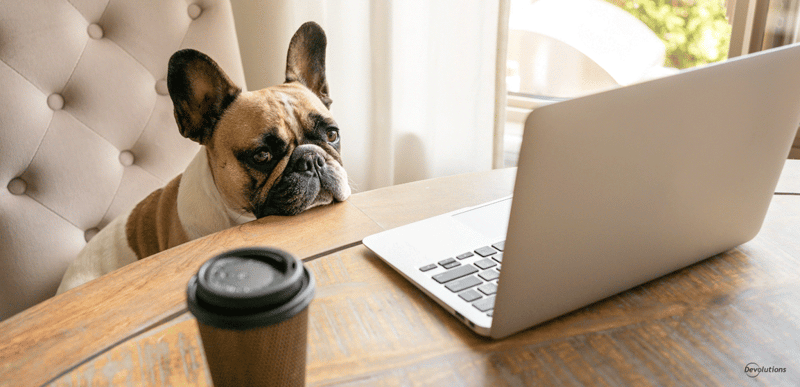 4 types of remote working devolutions blog