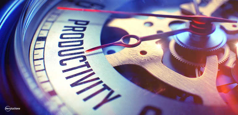 What Information To Store Remote Desktop Manager