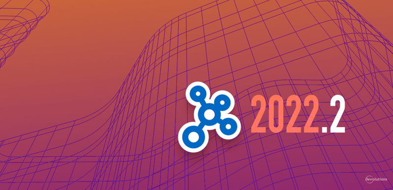 Hub 2022.2 features release devolutions blog
