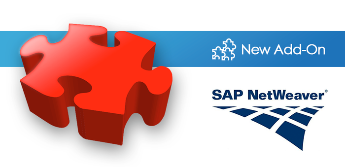 Thumbnail for New RDM Add-On for SAP NetWeaver!