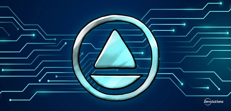 Beyond automation PAM and remote access in modern IT devolutions blog