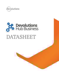 Devolutions Hub Datasheet