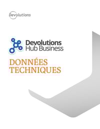 Devolutions Hub Données techniques