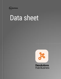 Devolutions Hub Business Datasheet