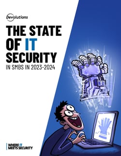 Report - State of IT security in SMBs in 2023-2024