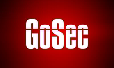 GoSec 2025