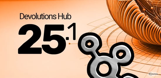 Devolutions hub 2025.1 release blog