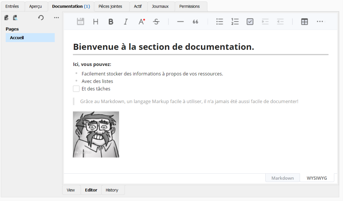 !!Documentation WYSIWYG.png