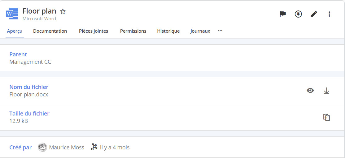 Aperçu d’une entrée type document