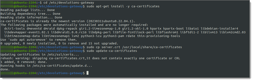 Command-line update-ca-certificates