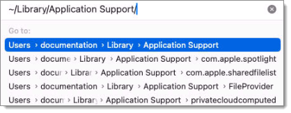 Go to the application support folder
