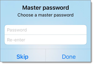Master password window 