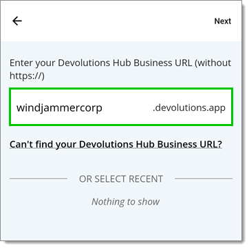 Devolutions Hub Business URL