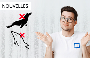 [NOUVELLE] Fin du soutien des sources de données MySQL et MariaDB dans Remote Desktop Manager