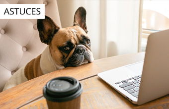 4 types de défis relatifs au travail à distance qu’un outil d’accès à distance doit régler