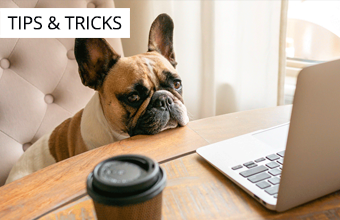 4 Types of Remote Working Challenges that a Remote Access Tool Must Address