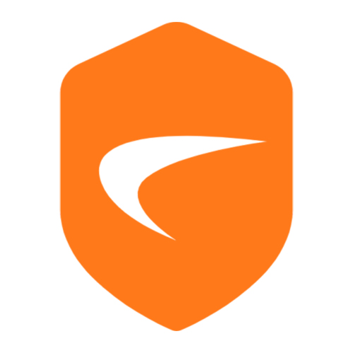 SonicWall VPN icon